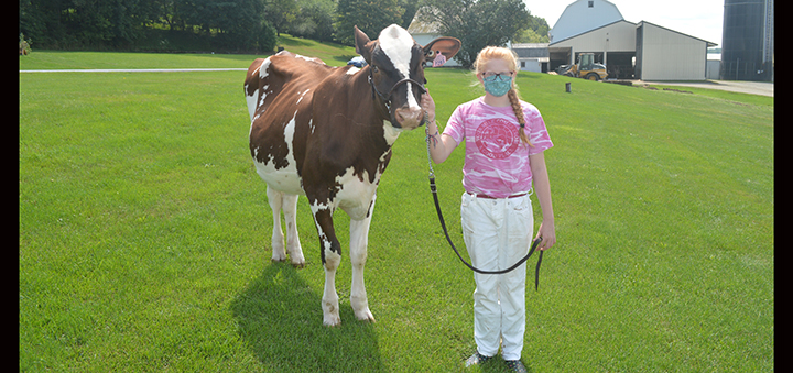 Tiger Lily Holsteins Participates In Virtual NYS Fair
